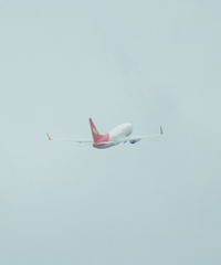 ���ȥ�������У����Ƽ�һ��Ҫȥ�ڳ�