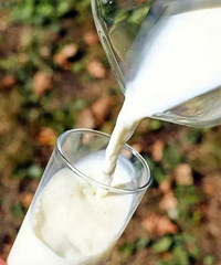 �������ף�6��ͼ��������Ӫ������Ҫ��