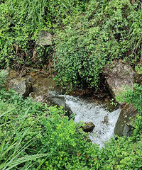 [����]�������������Ϫ�ŵ����û��ֺ��Ѿ����