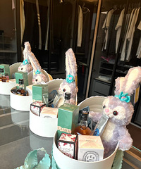 ̫ϲ���ҵİ����������