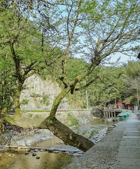 “蜜境”尤溪休闲游,遛娃走起~