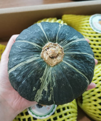 [��ʳ]��������ʳ̫�������ɸ㶨һ�ٷ�