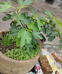 �޻���Ǥ���׻���������