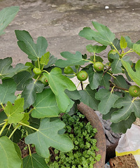 �޻���Ǥ���׻���������