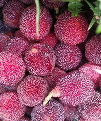 [����]����÷�ı�����÷�Ķ࣬����÷���Ҫ5��һ��