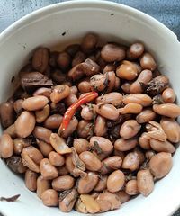 ���Ի���̨��No��±������