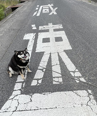 92�꽷��GG�������ѹ�������������Ѱ�ٸ�����