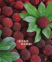 ��÷������һ�ݳԻ���ֱ�ӳ�