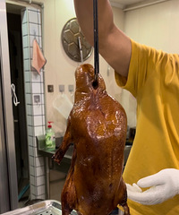 ���Ի���̨��No.65����˳Ե������Ѽ