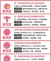 ���к�ÿ����ʲô���������迴��ƪ�͹���