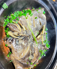 ��������ʳ�ֲݡ���ѹ����򺳬������