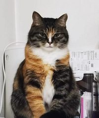 88�꽷������������175�����Ҹ�������Զ������Ĺ���