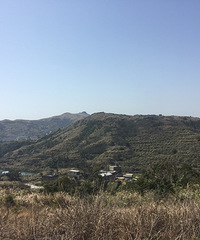 86��·��δ��163�ߵ�Ů����ĳ��λְԱ������Ʒ��