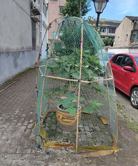 �޻�������������