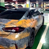 ���������ġ�ʺ��ʺ�Ƶ���ɫ�����������Ǻ�����ɫ��