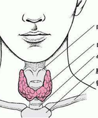 ���׼��������������