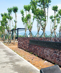 [����]�������½��ɵ������������̵����߹������Ͻ�