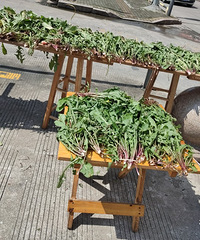 ɹ����ô���ѹ�Ӣ����ô��