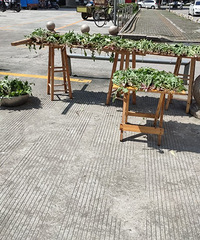 ɹ����ô���ѹ�Ӣ����ô��