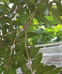 ��������Ժ������ڱ��˸�¥��