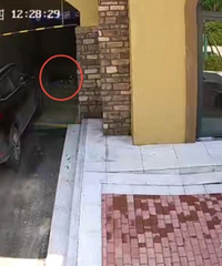 ��๤��С������ͨ�����ݱ����������������߹�ʧ��������