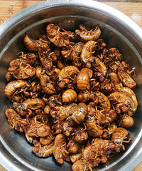 ����ζ���Դ࣬���Ǹҳ���