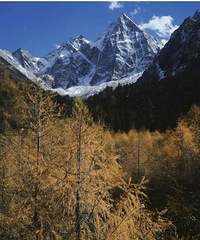 �������ȥ������������15������ʥ��