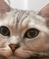 94������������180���������У�����Ե�پ���������...