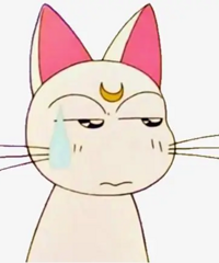 �������׹���һ��һ���40���ӣ������Һ���������