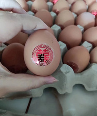 ������ռǡ������������Լ�������ѡ�ģ�����ϰ���ں��Ű�