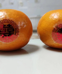 ������ռǡ������������Լ�������ѡ�ģ�����ϰ���ں��Ű�