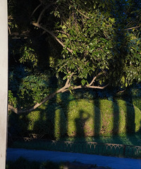 97�����������У�·�Ź���������185����Ů��