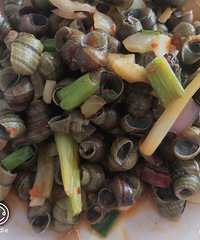 ���Ի���̨��no66������˿