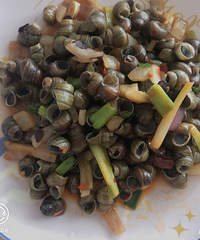 ���Ի���̨��no66������˿