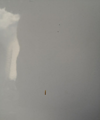 ���Ǹ�ϴ�공����ϵĶ���������ɶ��