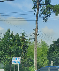 �ɾӵ��񣺾�����ˮ���ã�����¶Ӫ��ȥ��