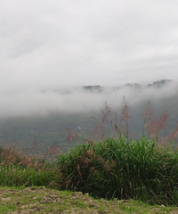 ȥͤԵߣһԨµġԴǡ