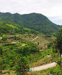 ȥ����ͤ�Ե������������ߣ����һ����Ԩ�����µġ�����Դ�ǡ�