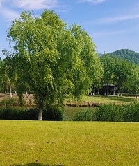 92�����죬�������ۣ���Ů���Ը���ù�ֱ