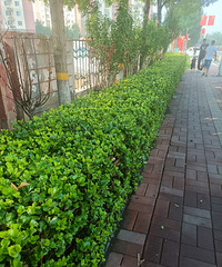 ¥���ж�����֪��������ϰ�һȦ������������