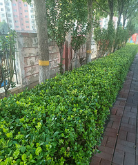 ¥���ж�����֪��������ϰ�һȦ������������