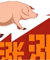 [����]���ڵ���������һ��һ���ۣ���������������