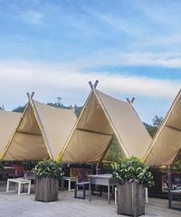 ��������ʳ�ֲݡ�����Ұ��Ŀ�ȫ�򻹲���