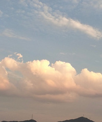 ������Ҳ��̸����������166����137�����������г�