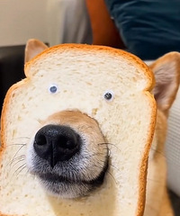 94��������������Ů��������ǰ�������ɣ�