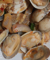 ���Ի���̨��no66������������AD����