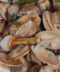 ���Ի���̨��no66������������AD����