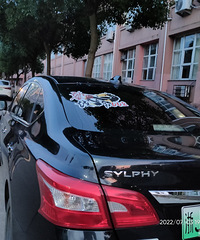 ���������ġ�������ǰ��ͣ�ţ������ڴ˸����۲���