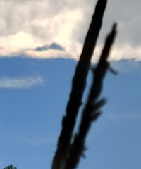 ����г����߲�����