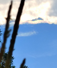 ����г����߲�����